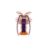 Reef Lagoon Charm Champagne Rock Lobster