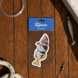 Reef Lagoon Sticker Pack Footballer Coral Trout