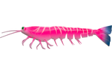 Irukandji Megaprawn 100mm Soft Plastic Lure Cocktail