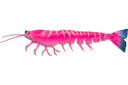 Irukandji Megaprawn 165mm Soft Plastic Lure Cocktail