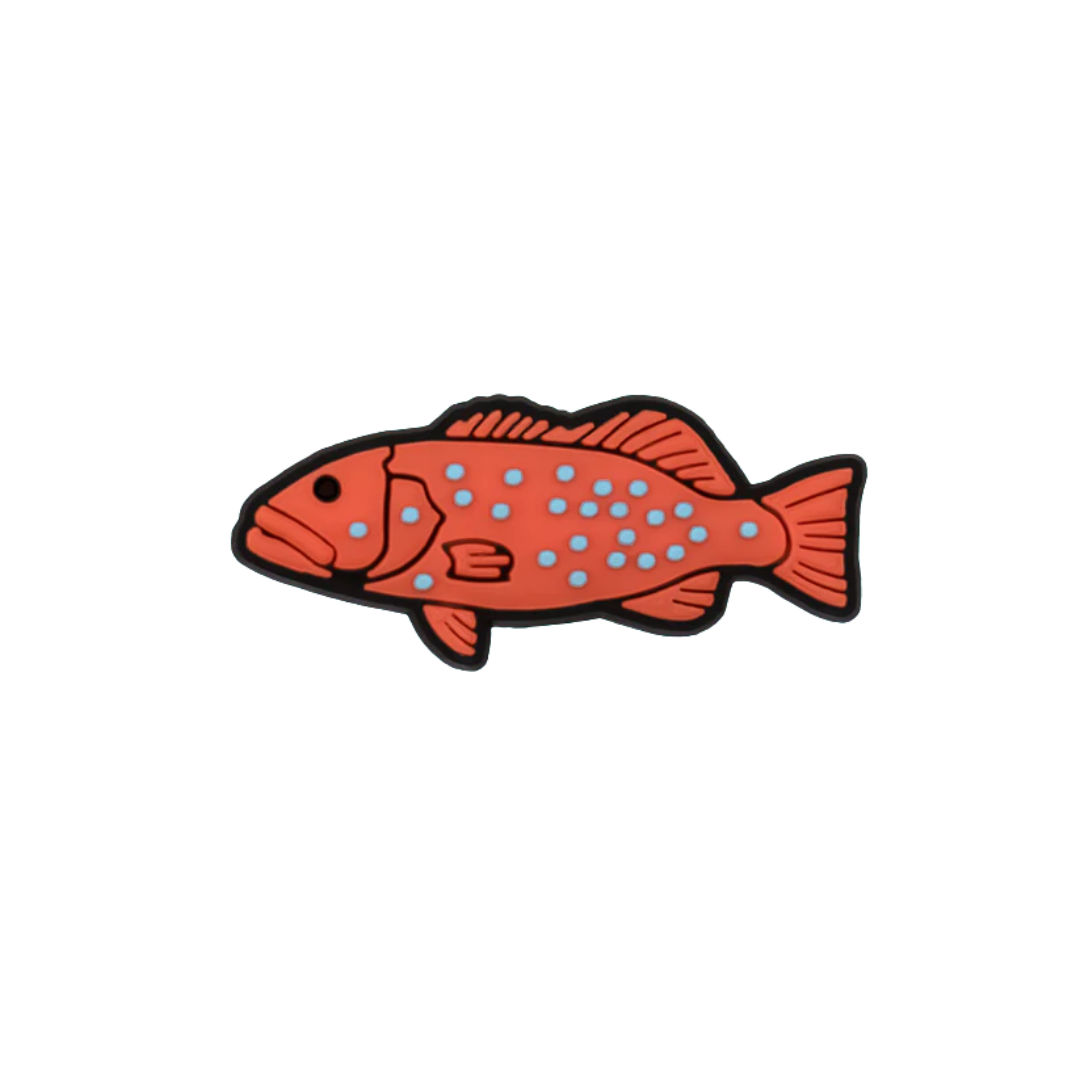 Reef Lagoon Charm Common Coral Trout