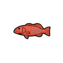 Reef Lagoon Charm Common Coral Trout
