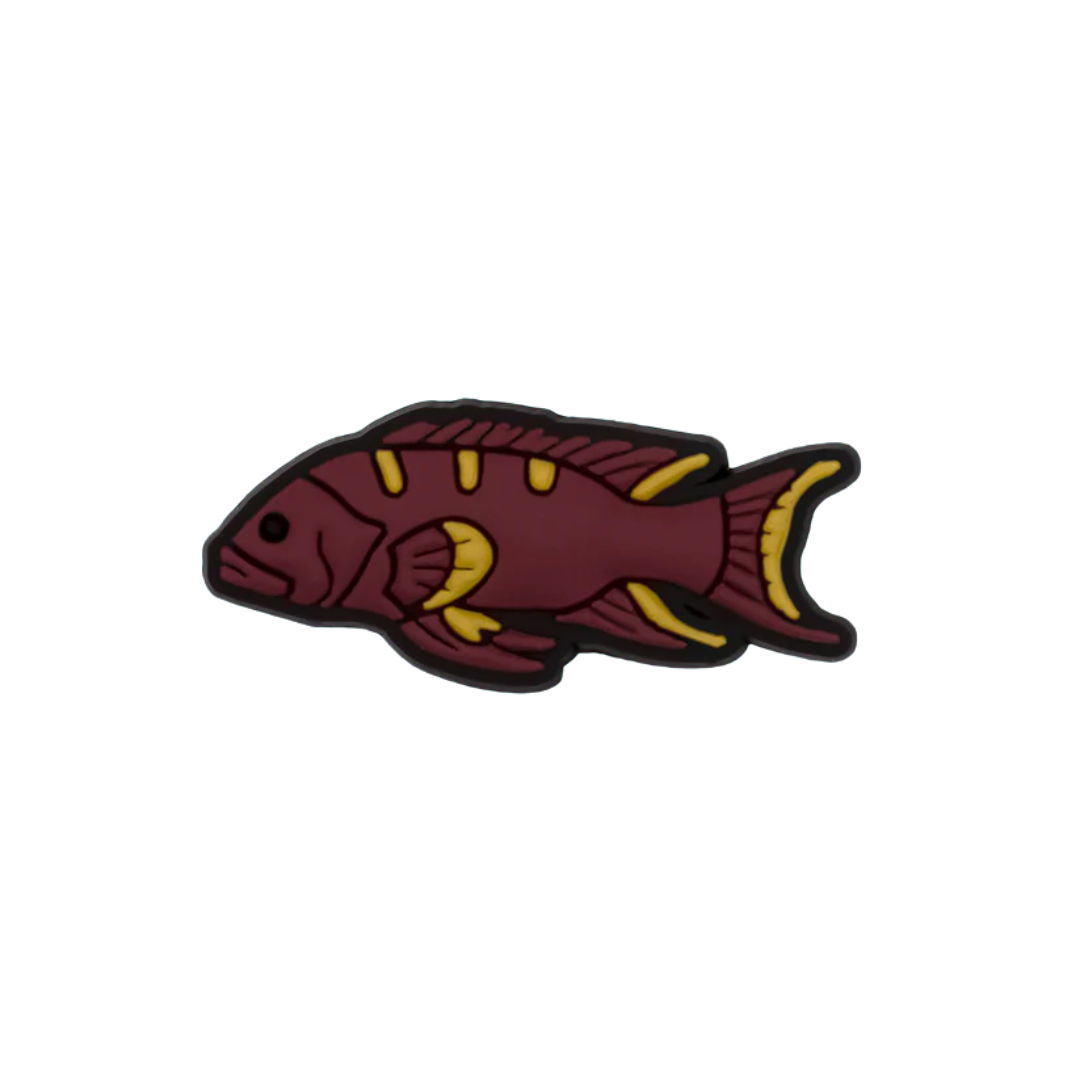 Reef Lagoon Charm Coronation Coral Trout