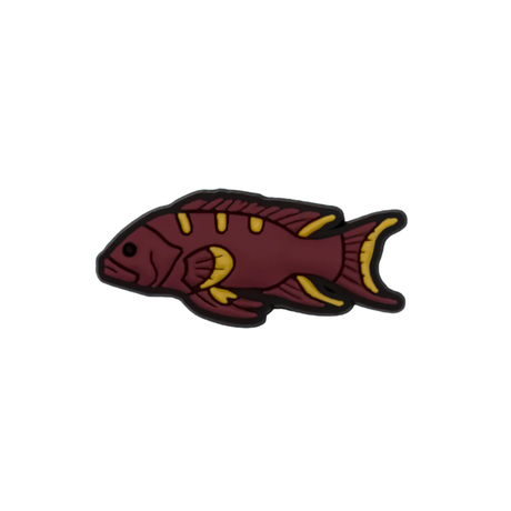 Reef Lagoon Charm Coronation Coral Trout