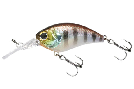 Jackall Mushbob 50MR 50mm Hard Body Lure Uroko HL Chigill