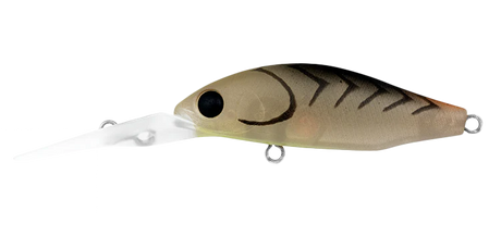 Daiwa Infeet Spike 44MR 44mm Hard Body Lure Matte Prawn