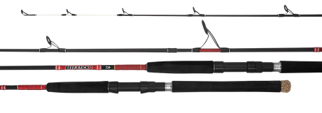Daiwa 21 Beefstick Z Overhead Rod