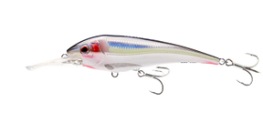 Nomad DTX Minnow Shallow Floating 145mm Hard Body Lure Bleeding Mullet