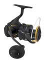 Daiwa 26 BG SW Spinning Reel
