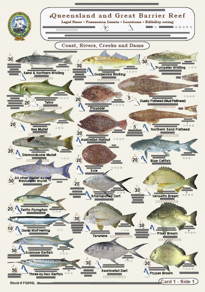 Camtas Fisherman's Queensland Waterproof Fish Identification Cards 5pk 226 Species