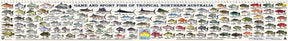Camtas Fish Measure / Identification Decal Sticker 97cm QLD