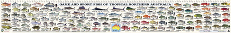 Camtas Fish Measure / Identification Decal Sticker 97cm QLD