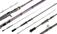 Fishlogica Icon Baitcaster Rod