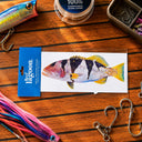 Reef Lagoon Decal Sticker A5 Footballer Coral Trout