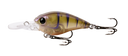 Fish Craft B-Cranky 46mm Hard Body Lure Pearl Shrimp