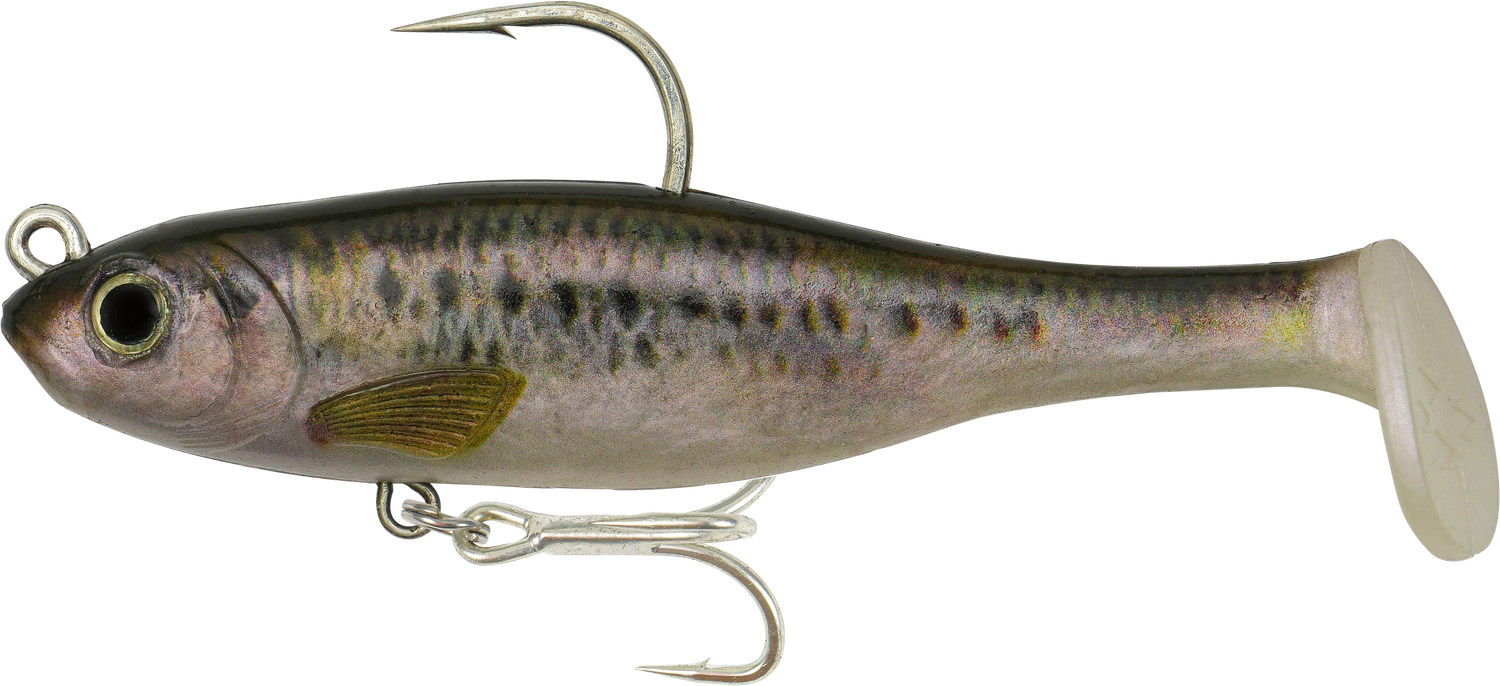 Fish Craft Dr Shad 150mm Soft Plastic Swimbait Lure Olive Shad