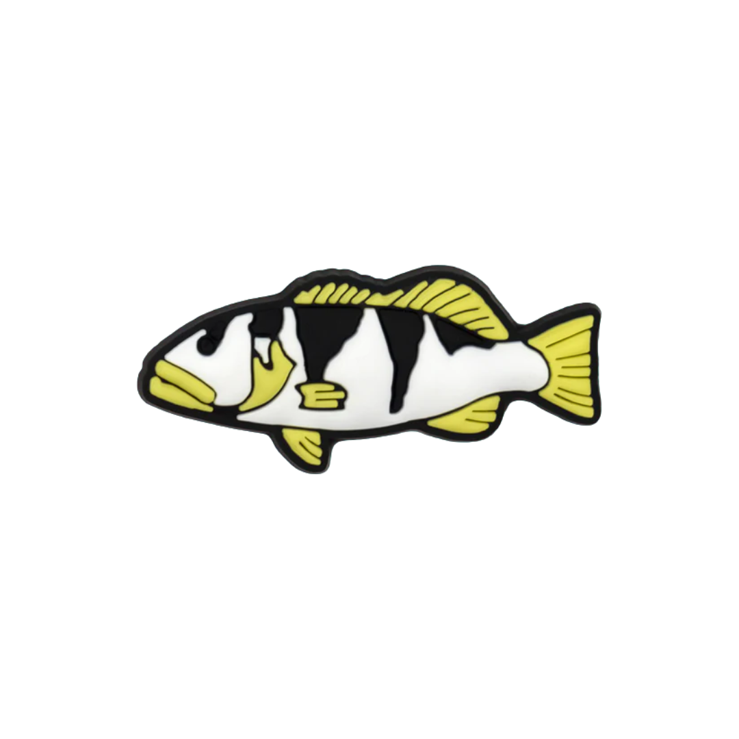 Reef Lagoon Charm Footballer Coral Trout