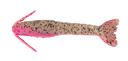Berkley Gulp Shrimp 3in Soft Plastic Lure Pink Belly Shrimp