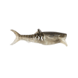 Rapala Crush City Infiltrator 3in Soft Plastic Lure Boney