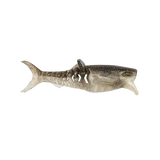 Rapala Crush City Infiltrator 3in Soft Plastic Lure Boney