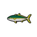 Reef Lagoon Charm Kingfish