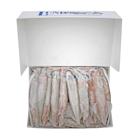 Tweed Bait Lunds USA Boxed Whole Squid 2.2kg Bait