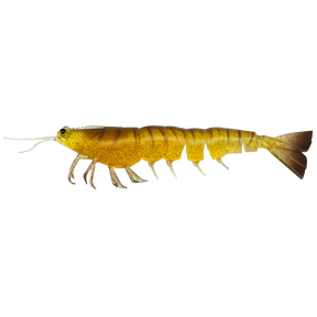 Irukandji Megaprawn 210mm Soft Plastic Lure Cockroach