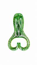 Mintoss Skip Frog 3in Soft Plastic Topwater Lure Pickle