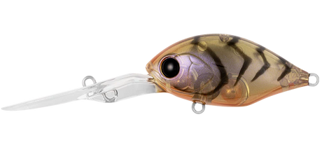 Daiwa Infeet Monster Rollin Crank 42DR 42mm Hard Body Lure Brown Suji UV