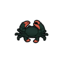 Reef Lagoon Charm Mud Crab