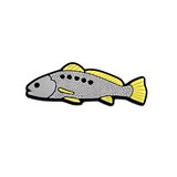 Reef Lagoon Charm Mulloway