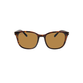 Oxide Nebular Polarised Sunglasses Tortoiseshell - Brown