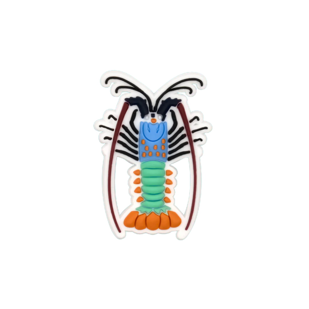 Reef Lagoon Charm Ornate Rock Lobster