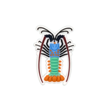 Reef Lagoon Charm Ornate Rock Lobster