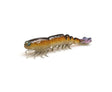 Zman PrawnZ Elite Unrigged 3.5in Soft Plastic Lure Brown Prawn