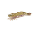 Zman PrawnZ Elite Unrigged 3.5in Soft Plastic Lure Golden Boy