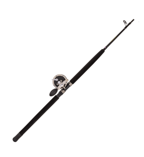 Penn GT Overhead Combo