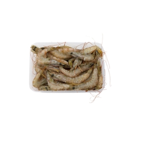 Local Prawn Bait Tub