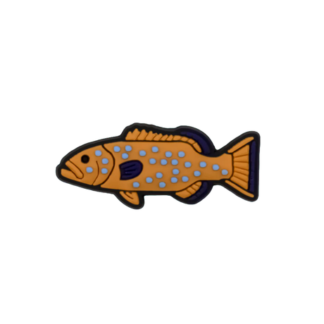 Reef Lagoon Charm Passion Fruit Coral Trout