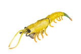 Molix Prawn 4.5in Soft Plastic Lure Banana Prawn