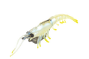 Molix Prawn 4.5in Soft Plastic Lure Pearl Chartreuse