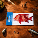 Reef Lagoon Decal Sticker A5 Red Emperor