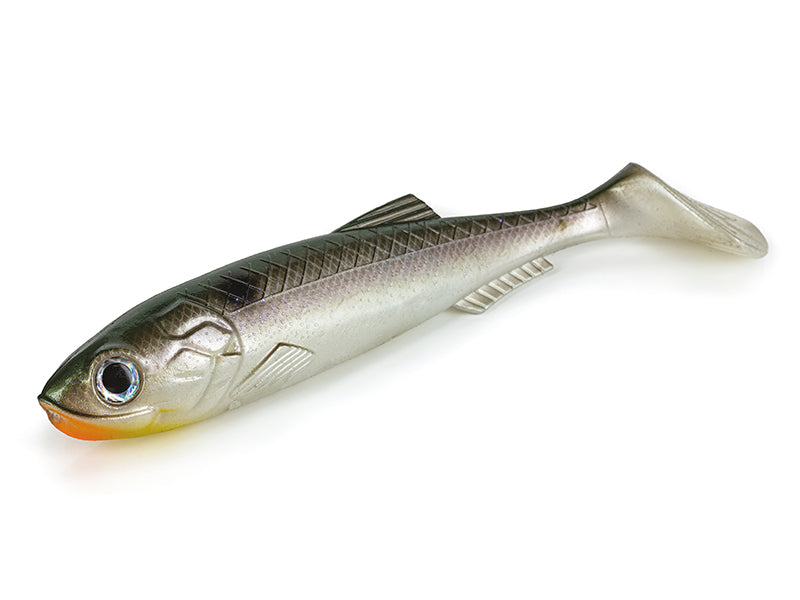 Molix RT Shad 7in Soft Plastic Lure Blueback Herring