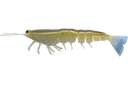 Irukandji Megaprawn 125mm Soft Plastic Lure Reaper