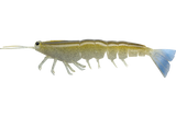 Irukandji Megaprawn 165mm Soft Plastic Lure Reaper