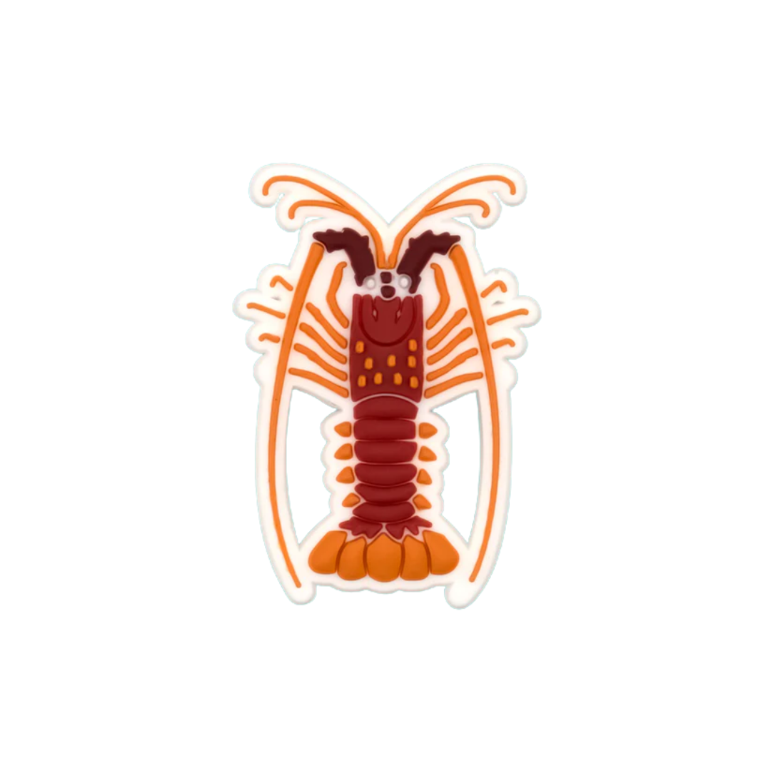 Reef Lagoon Charm Red Rock Lobster