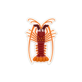 Reef Lagoon Charm Red Rock Lobster