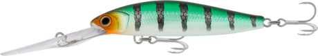 Samaki Redic DS80 80mm Hard Body Lure Iguana