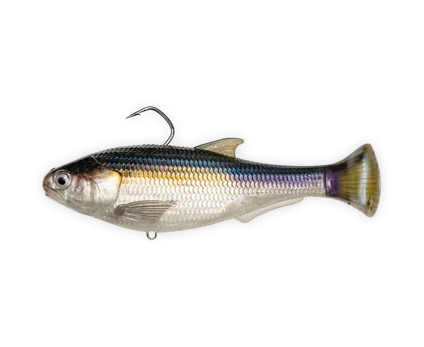 Zman Shadtron LT 6in Soft Plastic Swimbait Lure Blueback Herring