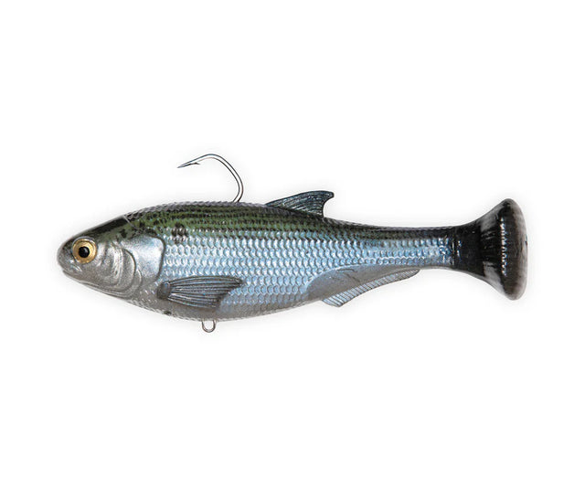 Zman Shadtron LT 6in Soft Plastic Swimbait Lure Mossback
